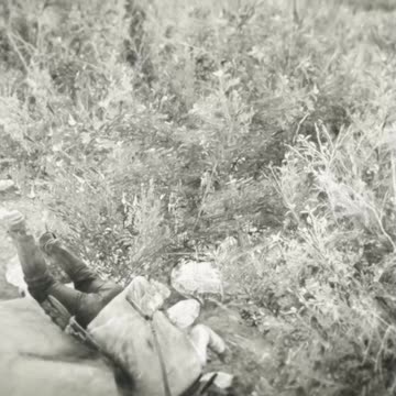 So I Just Started To Play Red Dead Redemption 2