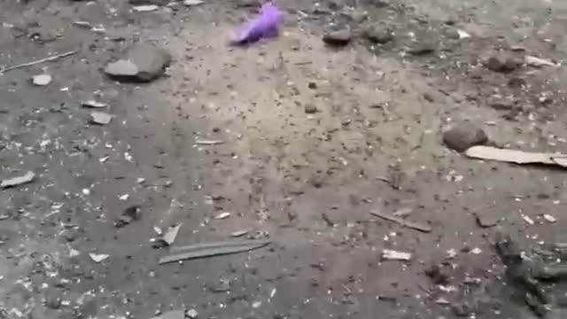 Video of damages at Kharkiv just now!