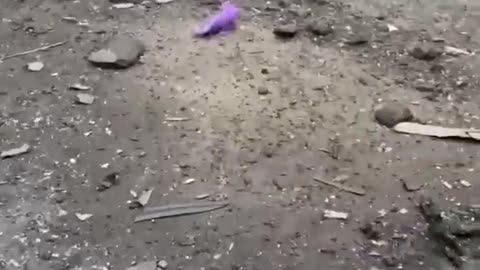 Video of damages at Kharkiv just now!