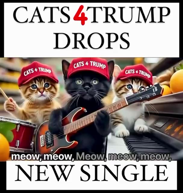 Cats For Trump | 🐈🐈‍⬛