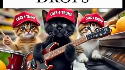 Cats For Trump | 🐈🐈‍⬛