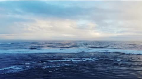 Exploring Earth's Amazing