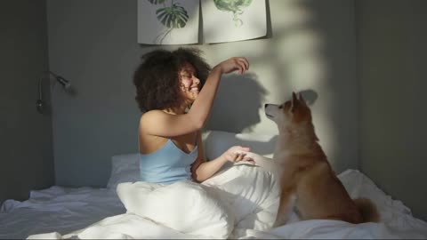Dog playing with mean in the bed