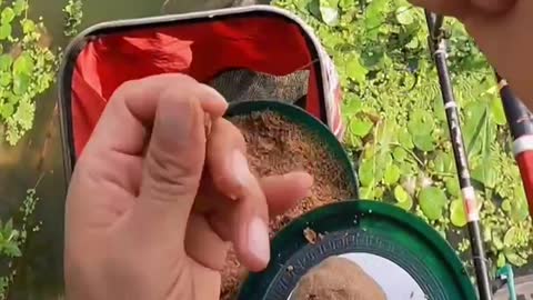 Various fishing methods, my fishing life - 4