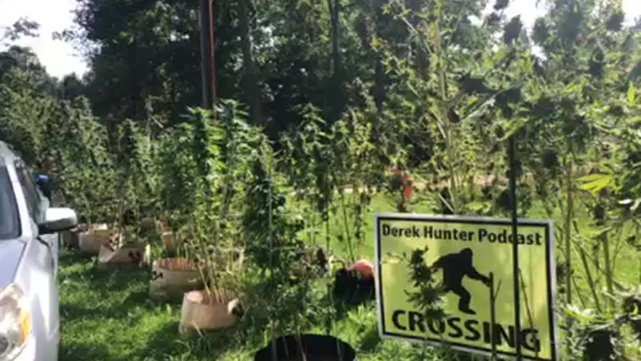 Today: why left hand 🦃 do poorly with real men p 01 Derek Hunter rumble