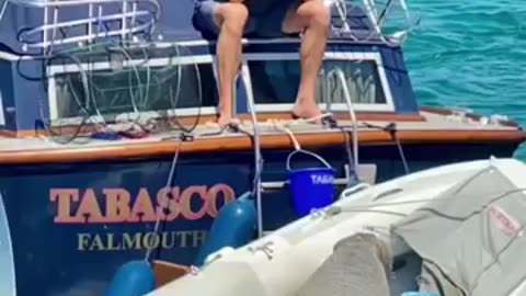 This Walrus was given a floating couch...