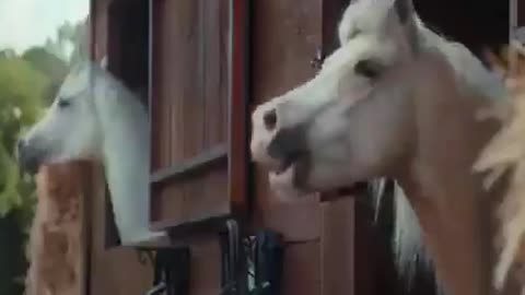 When someone says... Biden is a great President