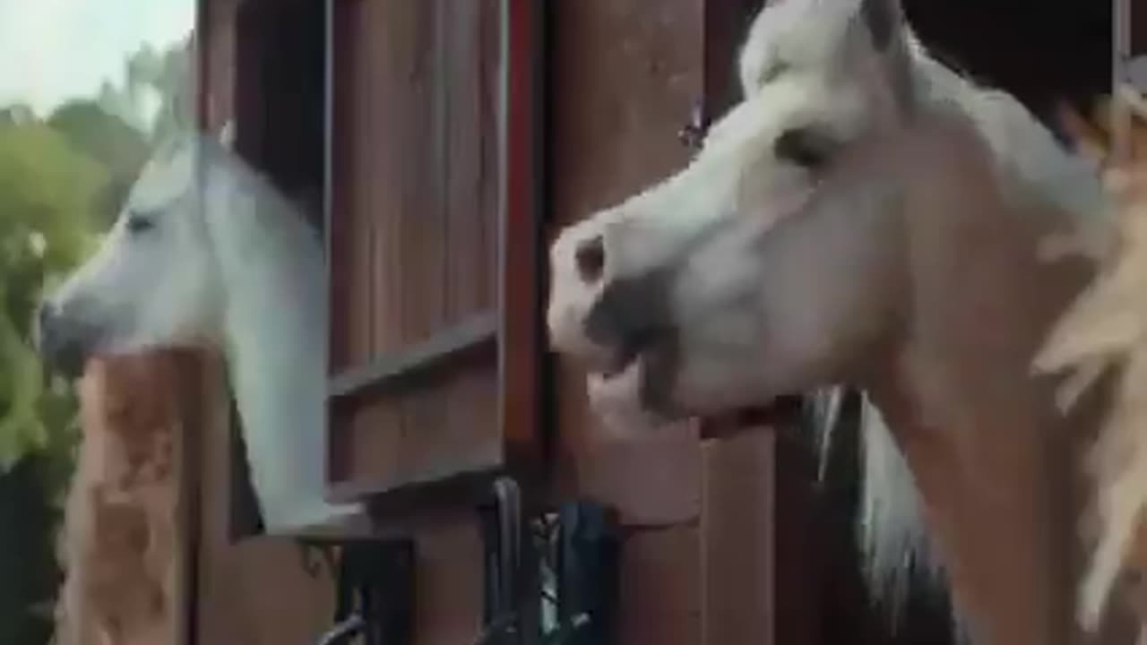 When someone says... Biden is a great President