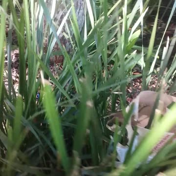 25.8.2024 Things that make us go hmmm...