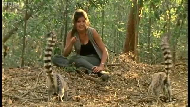 Territory Battle | Babies on the Front Line | Cousins | BBC Earth