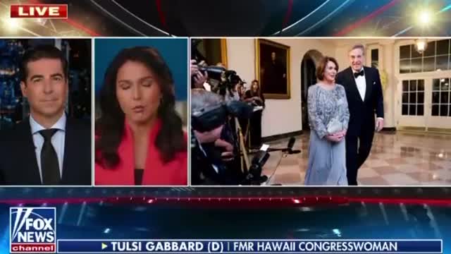 Tulsi blasts Dems for insider trading loophole they've created for themselves