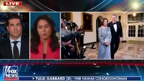 Tulsi blasts Dems for insider trading loophole they've created for themselves