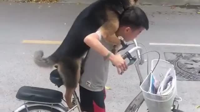 Why is it so hard to take my dog out to play ?