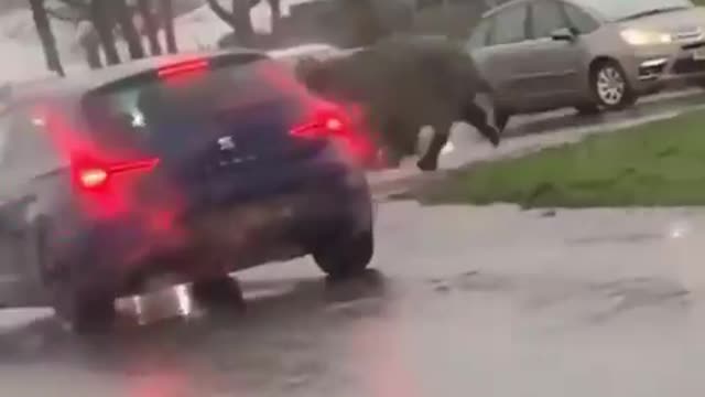 Strange Video #139