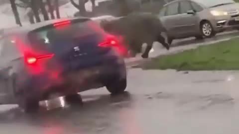Strange Video #139
