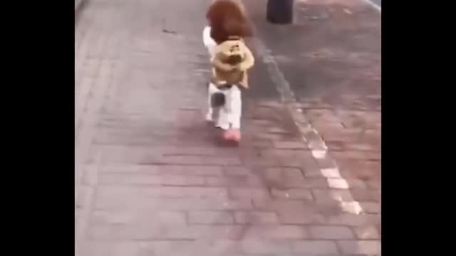 Omg! Super Cute Pets /cute animals and funny baby animals Cutest Video Compilation