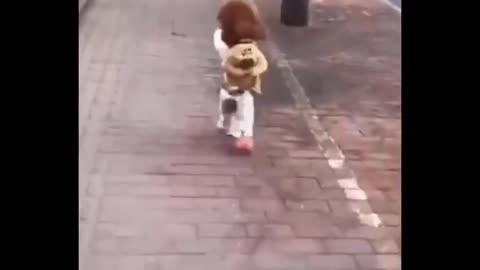 Omg! Super Cute Pets /cute animals and funny baby animals Cutest Video Compilation