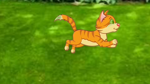 Little cat having fun