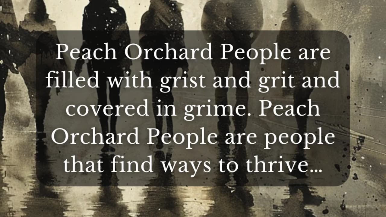 Moments with Dr Steve – Special Edition Number Twenty-One | Peach Orchard People | part 1