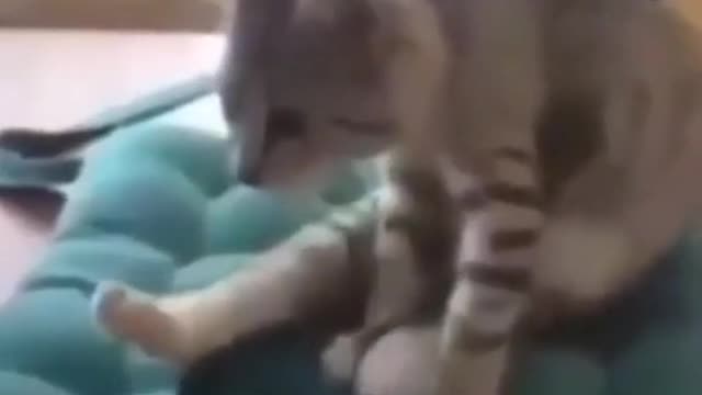 The exercise is available for everyone ...)))