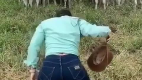woman and animals funny video