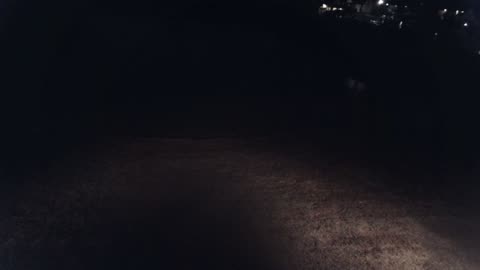 The Pond