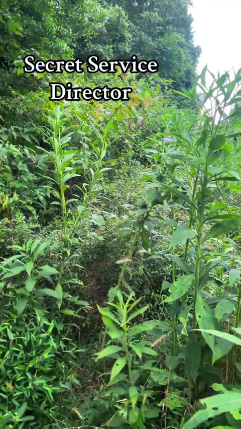 These artists are getting better and faster with songs