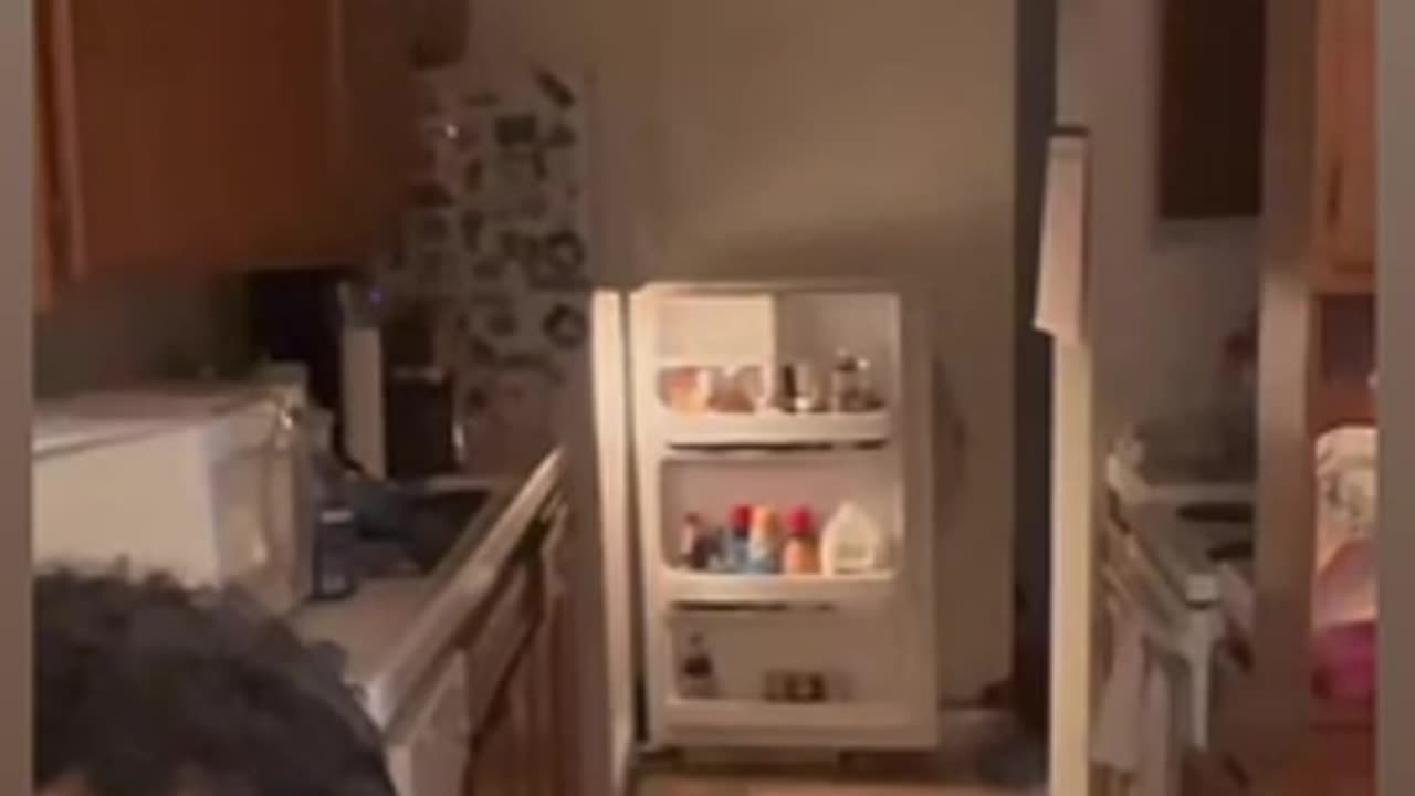 Lol these Jinn kids are hilarious 😆 🧞♂️🧞🧞♀️ look at them open this guys fridge