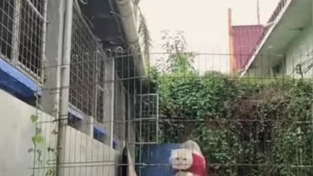 Funniest kids compilation