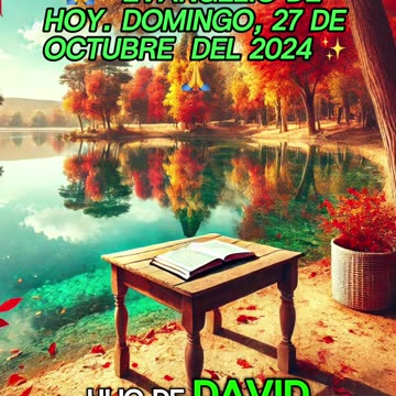 🙏✨Evangelio de HOY. Domingo, 27 de Octubre del 2024 ✨🙏