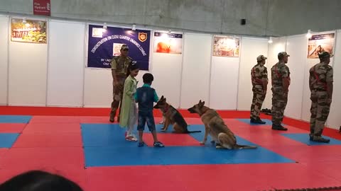 CISF Dog Training In Danger Way