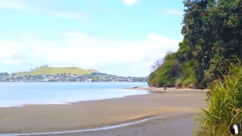 Taylors Bay Beach Auckland New Zealand Tour