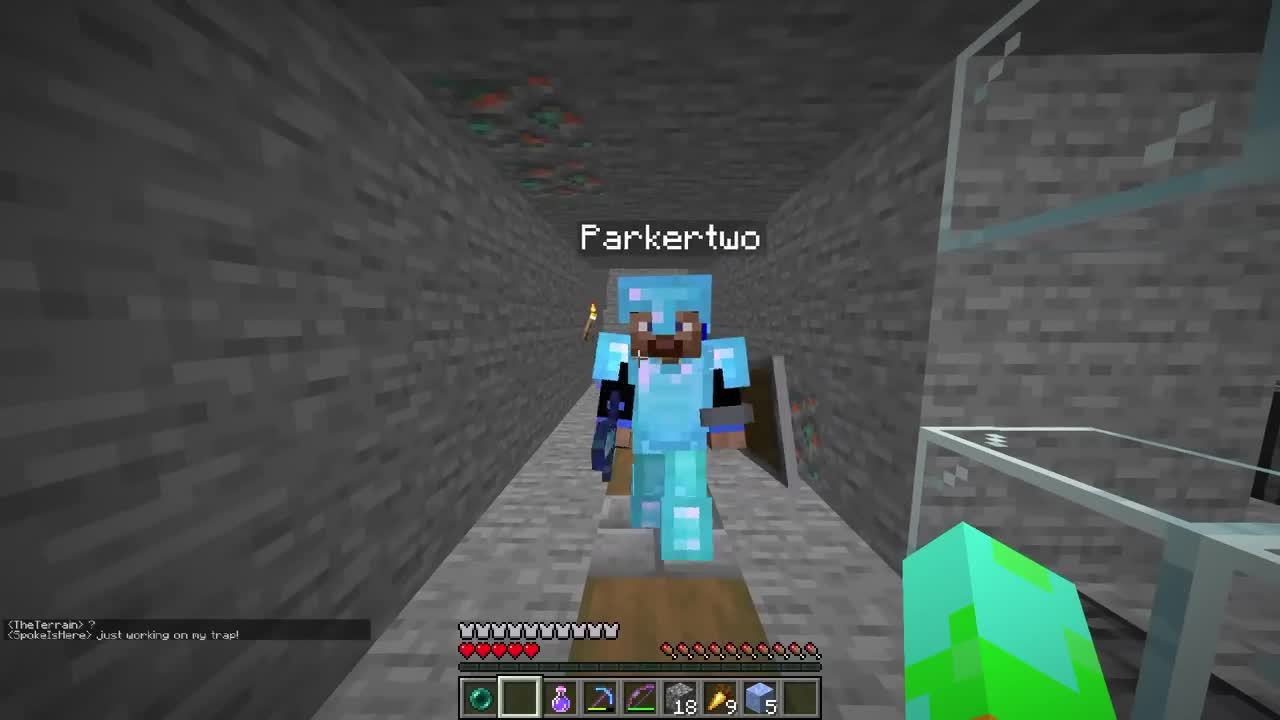 I Stole Minecraft's Rarest Diamond_p18