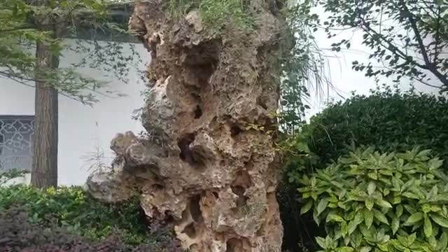 This rockery is so special.