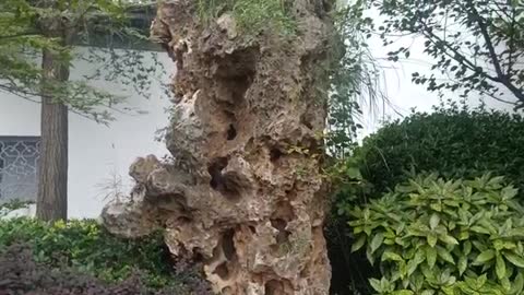 This rockery is so special.