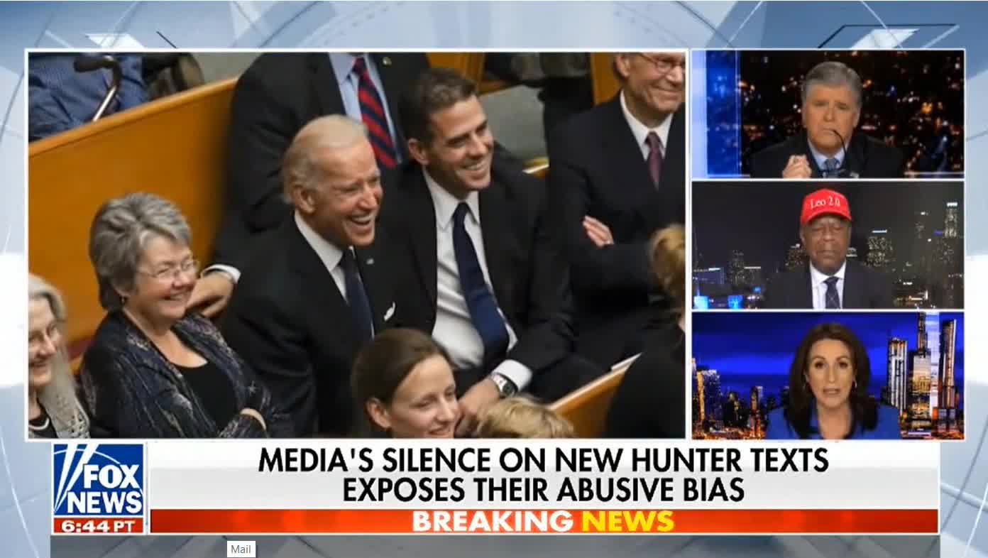 Hunter Biden Using The N Word and mainstream media says nothing`