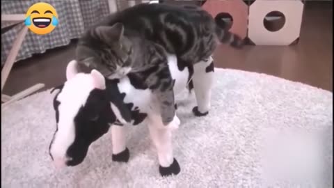 BEST 2024 FUNNIEST ANIMALS 😹 Funny Animal Videos Compilation 😹 Try Not To Laugh #32