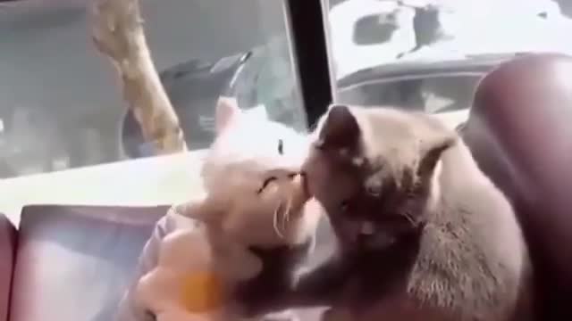 What a lovely couple