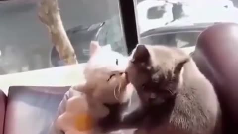 What a lovely couple