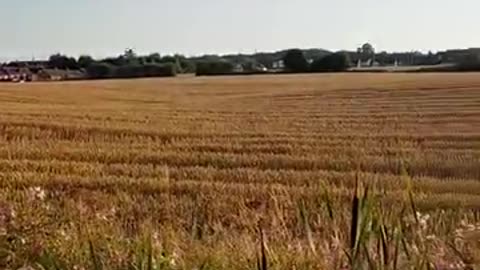 Prayer walk with Des Pilling 1st August 2024