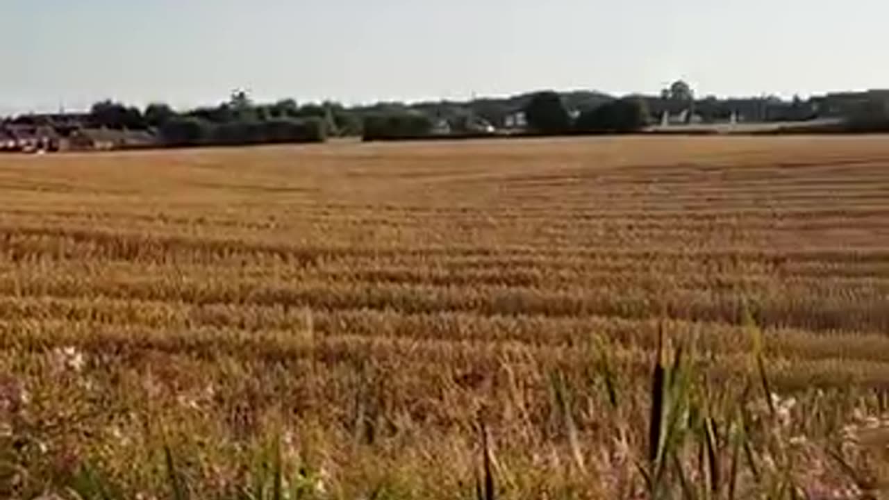 Prayer walk with Des Pilling 1st August 2024