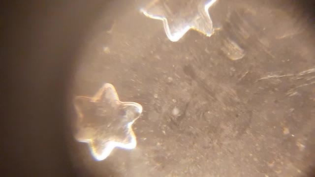 1904-O Morgan Silver dollar, close up footage