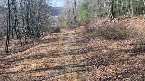 Hiking on the lower part of the Broad Mountain