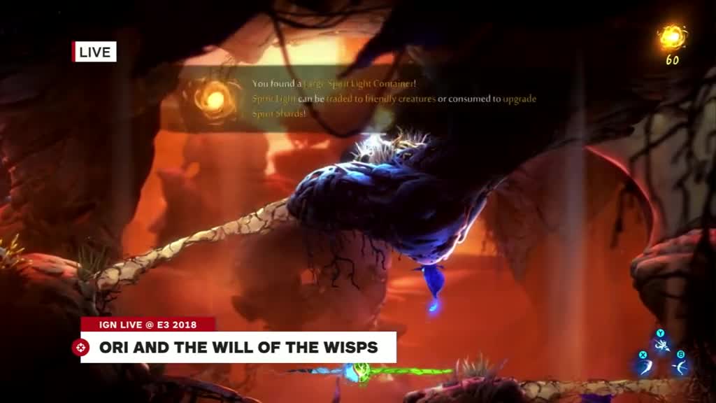 they really believe in that kind