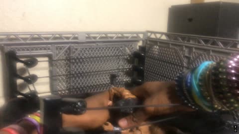 PLT Wrestleday - Full Action Figure Show! (PLT Ep.21)