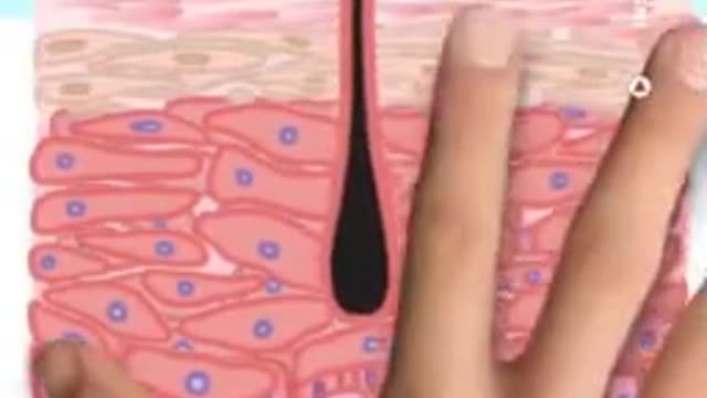 Where you can find Breaking news series of Science