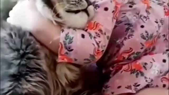 Baby & cat is a best friend.Baby hug his cat