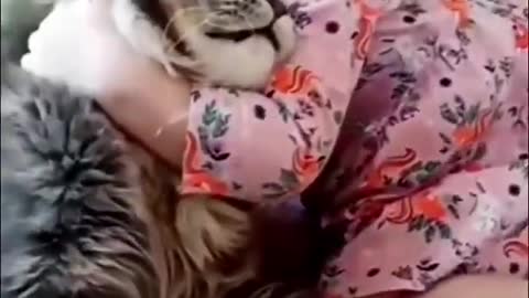 Baby & cat is a best friend.Baby hug his cat