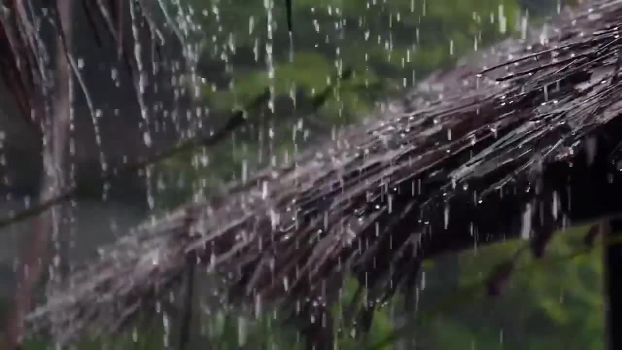 Sound of Rain with Thunder with BLACK SCREEN to Sleep and Relax