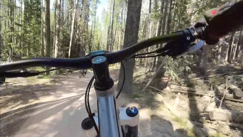 Downhill Biking – Mountain Biking - Trestle Bike Park -Paper Boy – 07/13/24